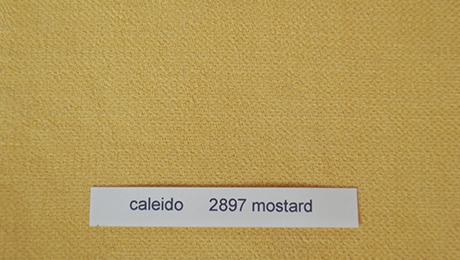 caleido 2897 mustard